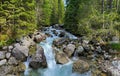 River Kezmarska Biela voda, Vysoke Tatry National Park in Slovakia, Europe. Water stream in the mountain forest, river with big