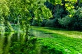 River La Sorgue in L'Isle-sur-la-Sorgue