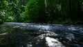 River lainsitz near weitra in the austrian region waldviertel