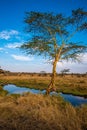 River and Lake in beautiful landscape scenery of Serengeti National Park, Tanzania - Safari in Africa Royalty Free Stock Photo