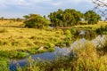 River and Lake in beautiful landscape scenery of Serengeti National Park, Tanzania - Safari in Africa Royalty Free Stock Photo