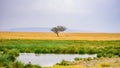 River and Lake in beautiful landscape scenery of Serengeti National Park, Tanzania - Safari in Africa Royalty Free Stock Photo