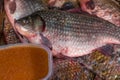 River, lake raw fish in scales carp, crucian Royalty Free Stock Photo