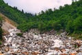 River Lakshman Ganga on Trek to Ghangaria, Uttarakhand, India Royalty Free Stock Photo