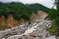 River Lakshman Ganga on Trek to Ghangaria, Uttarakhand, India Royalty Free Stock Photo