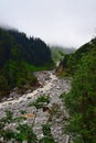 River Lakshman Ganga on Trek to Ghangaria, Uttarakhand, India Royalty Free Stock Photo