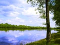 River, land with trees Royalty Free Stock Photo