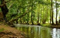 River landscape