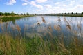 river landscape