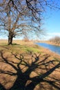 River landscape.