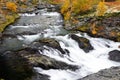 River landscape in autumn, dovrefjell, norway Royalty Free Stock Photo