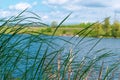 River landscape, river bank, spring grass Royalty Free Stock Photo