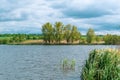 River landscape, river bank, spring grass Royalty Free Stock Photo