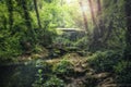 River landscape through inner jungle area