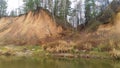 River landscape in late autumn. The high river bank with sandy bluffs is overgrown with birches and pines. Tall dry grass stands b Royalty Free Stock Photo