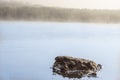 River landscape in the mist on the background of green forest with big stone in the water Royalty Free Stock Photo