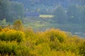 River landscape Royalty Free Stock Photo