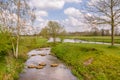 River landscape Regge Netherlands