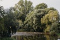 River landscape with sand bank appearing on the shore at low water levles. Small river in the forest. Quiet river in the Royalty Free Stock Photo