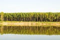 River landscape surrounded by green trees Royalty Free Stock Photo