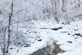 River landscape in Winter Royalty Free Stock Photo