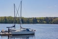 River landscape with yachts. Moored yacht against forest. Yacht in the river