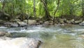 River with large rocks surrounded by trees