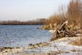 River in late autumn, snow and ice on the shore. Autumn cold landscape Royalty Free Stock Photo