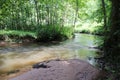 The river Lauter in Alsace France with trees, wood