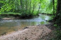 The river Lauter in Alsace France with trees, wood Royalty Free Stock Photo