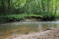 The river Lauter in Alsace France with trees, wood