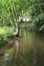 The river Lauter in Alsace France with trees, wood