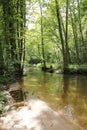 The river Lauter in Alsace France with trees, wood