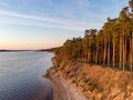 River Lielupe with right side view of beautiful old pine tree forest. Photo taken in Europe, Latvia, Sunset