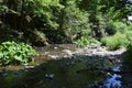 river Lieser in a dry summer