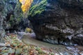 River in limestone canyon