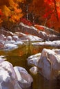 River lines with stones in autumn forest Royalty Free Stock Photo