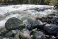 River at Little Qualicum Falls Provincial Park, British Columbia Royalty Free Stock Photo