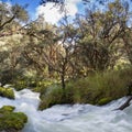 River and lush green forest near Huaraz in Cordillera Blanca, Pe