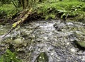 River Lyd - Lydford Gorge, Dartmoor National Park, Devon, UK