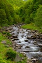 The River Lyn at Watersmeet near Lynmouth Devon Royalty Free Stock Photo