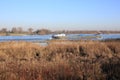 The River Maas in the Province Gelderland, The Netherlands