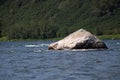 River Malkinskaya Bystraya. Huge stone lying in the river water Royalty Free Stock Photo