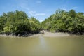 River in the mangrove at Can Gio`s Monkey Island, south Vietnam