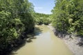 River in the mangrove at Can Gio`s Monkey Island.