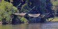 The river March in the north-east of Austria, fishing nets at the shore