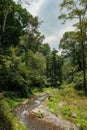 River Meandering Through Lombok\'s Verdant Forest