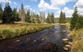 River meandering at a mountain meadow in Sumava National Park Royalty Free Stock Photo