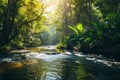 A river meanders through a dense forest, surrounded by vibrant green foliage and tall trees, Sun-drenched river flowing through an Royalty Free Stock Photo