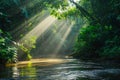 A river meanders through a lush green forest, surrounded by towering trees and vibrant foliage, Sunlight filtering through the Royalty Free Stock Photo